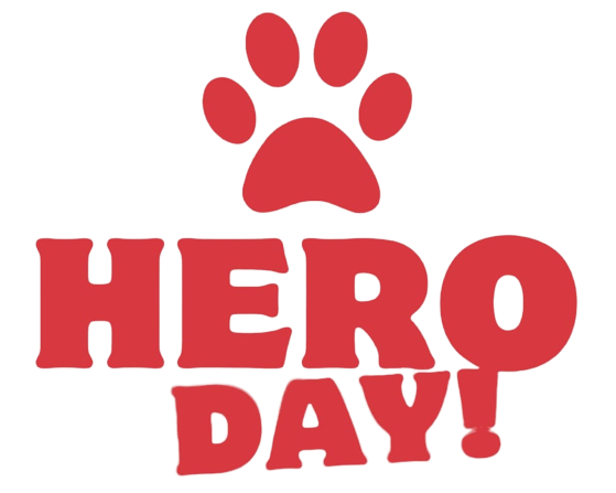 1º HERO DAY  Evento Beneficente da Causa Animal São Bernardo do Campo