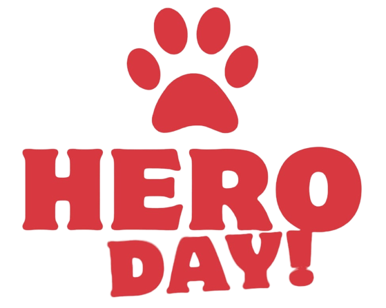 1º HERO DAY Evento Beneficente da Causa Animal São Bernardo do Campo