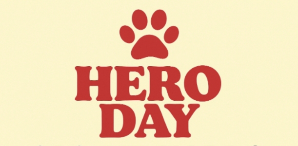 Hero Day, Feira Pet, Evento Pet em São Bernardo, Premier Brasil Eventos, Human Hand, Feira de cães e gatos, Empreendedorismo pet, Responsabilidade social, Setor pet Brasil, Expositores pet, Evento com impacto social, Feira com causa, São Bernardo do Campo