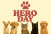 Hero Day, Feira Pet, Evento Pet em São Bernardo, Premier Brasil Eventos, Human Hand, Feira de cães e gatos, Empreendedorismo pet, Responsabilidade social, Setor pet Brasil, Expositores pet, Evento com impacto social, Feira com causa, São Bernardo do Campo